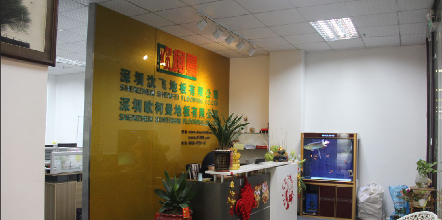 小蝌蚪视频高清在线下载地板.png